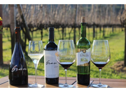 Tour Gran Reserva - Vale dos Vinhedos